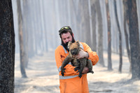 KANGAROO ISLAND BUSHFIRES